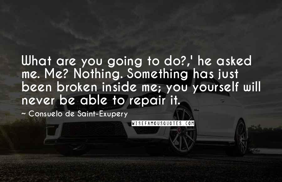 Consuelo De Saint-Exupery Quotes: What are you going to do?,' he asked me. Me? Nothing. Something has just been broken inside me; you yourself will never be able to repair it.