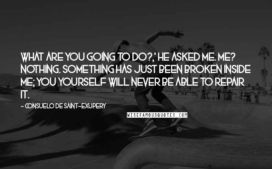 Consuelo De Saint-Exupery Quotes: What are you going to do?,' he asked me. Me? Nothing. Something has just been broken inside me; you yourself will never be able to repair it.