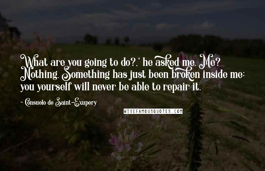 Consuelo De Saint-Exupery Quotes: What are you going to do?,' he asked me. Me? Nothing. Something has just been broken inside me; you yourself will never be able to repair it.