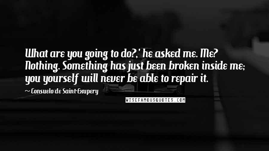 Consuelo De Saint-Exupery Quotes: What are you going to do?,' he asked me. Me? Nothing. Something has just been broken inside me; you yourself will never be able to repair it.