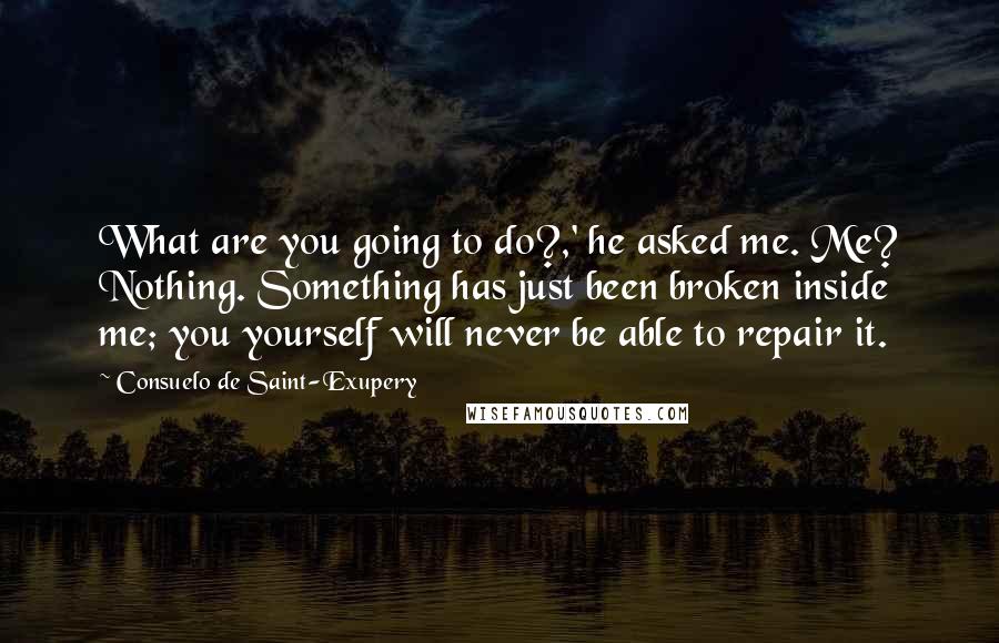Consuelo De Saint-Exupery Quotes: What are you going to do?,' he asked me. Me? Nothing. Something has just been broken inside me; you yourself will never be able to repair it.