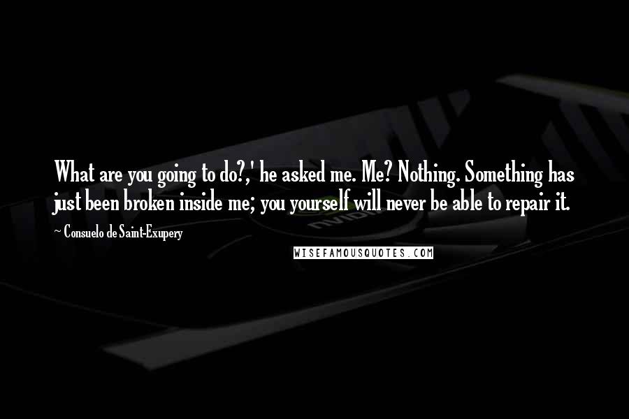 Consuelo De Saint-Exupery Quotes: What are you going to do?,' he asked me. Me? Nothing. Something has just been broken inside me; you yourself will never be able to repair it.