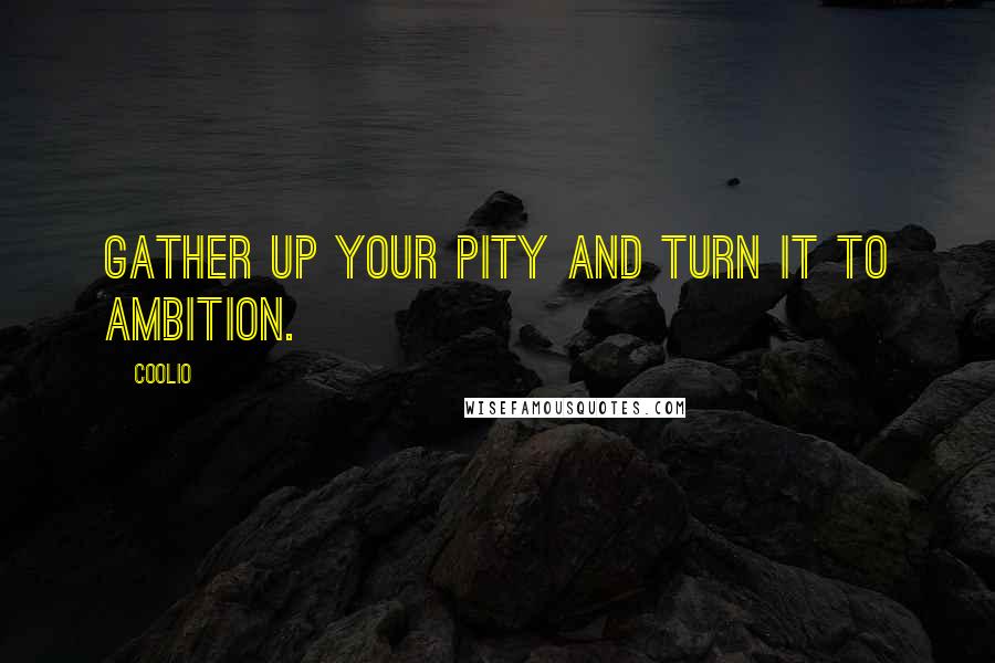 Coolio Quotes: Gather up your pity and turn it to ambition.
