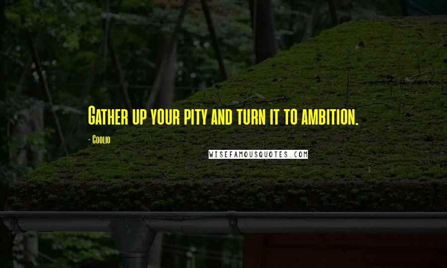 Coolio Quotes: Gather up your pity and turn it to ambition.