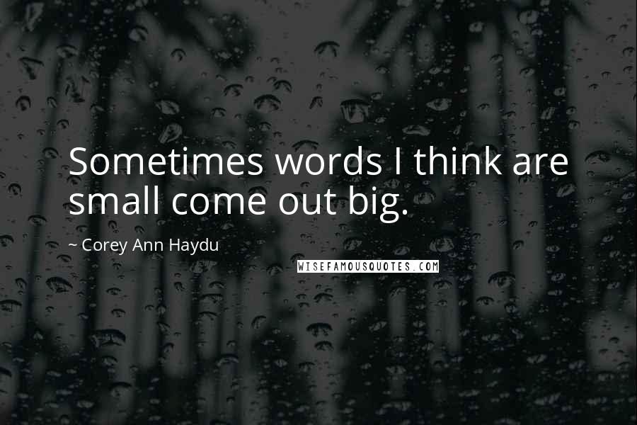 Corey Ann Haydu Quotes: Sometimes words I think are small come out big.