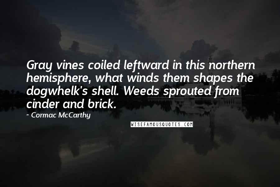 Cormac McCarthy Quotes: Gray vines coiled leftward in this northern hemisphere, what winds them shapes the dogwhelk's shell. Weeds sprouted from cinder and brick.