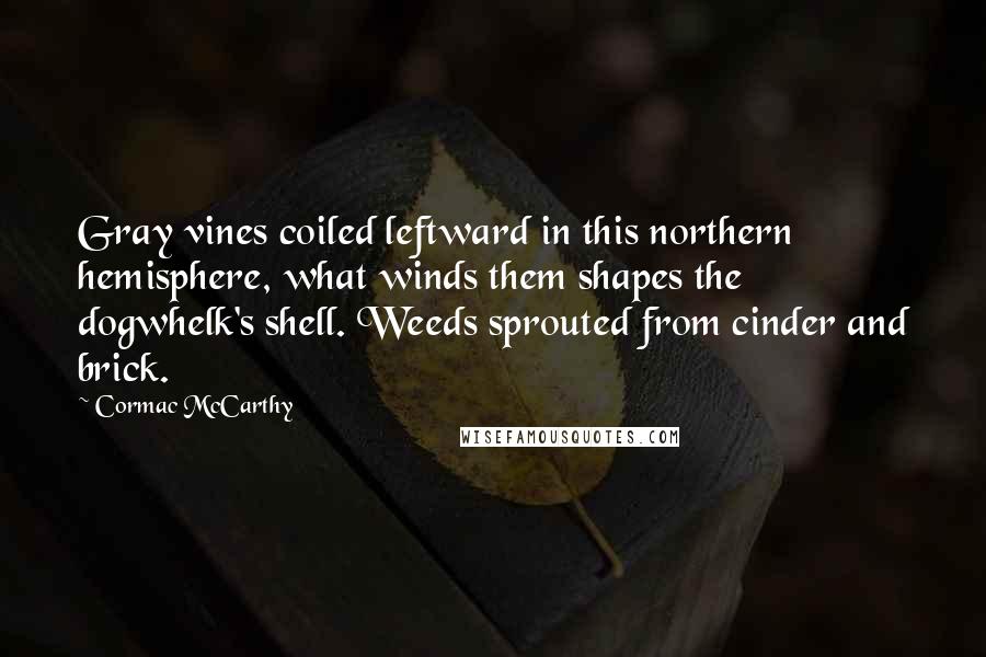 Cormac McCarthy Quotes: Gray vines coiled leftward in this northern hemisphere, what winds them shapes the dogwhelk's shell. Weeds sprouted from cinder and brick.