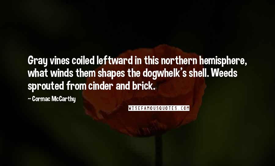 Cormac McCarthy Quotes: Gray vines coiled leftward in this northern hemisphere, what winds them shapes the dogwhelk's shell. Weeds sprouted from cinder and brick.