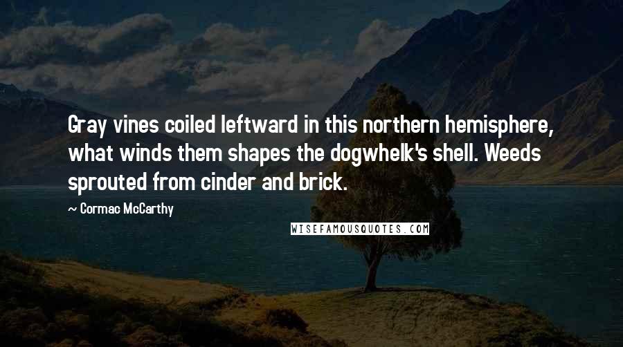 Cormac McCarthy Quotes: Gray vines coiled leftward in this northern hemisphere, what winds them shapes the dogwhelk's shell. Weeds sprouted from cinder and brick.