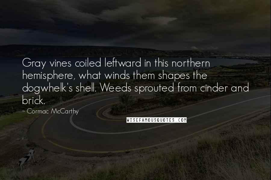 Cormac McCarthy Quotes: Gray vines coiled leftward in this northern hemisphere, what winds them shapes the dogwhelk's shell. Weeds sprouted from cinder and brick.