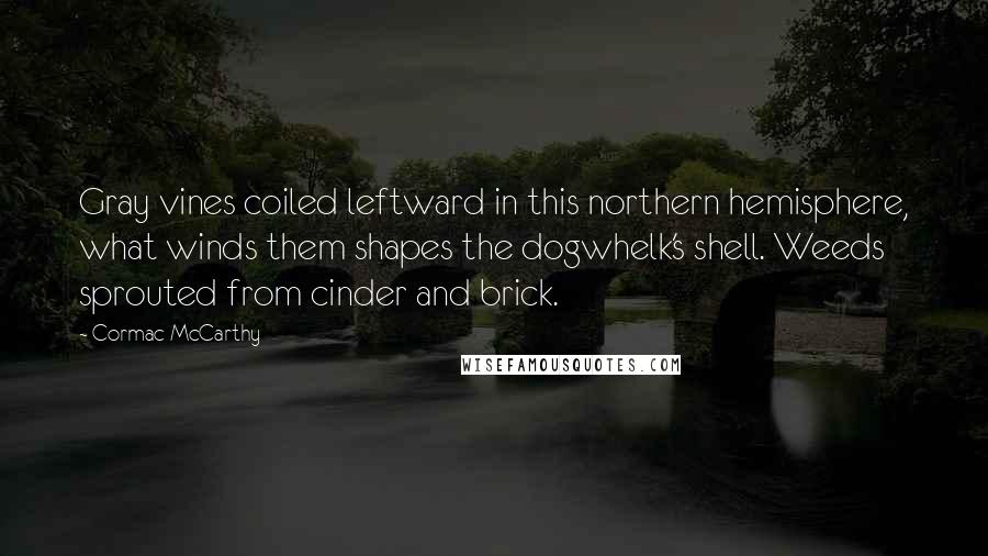Cormac McCarthy Quotes: Gray vines coiled leftward in this northern hemisphere, what winds them shapes the dogwhelk's shell. Weeds sprouted from cinder and brick.