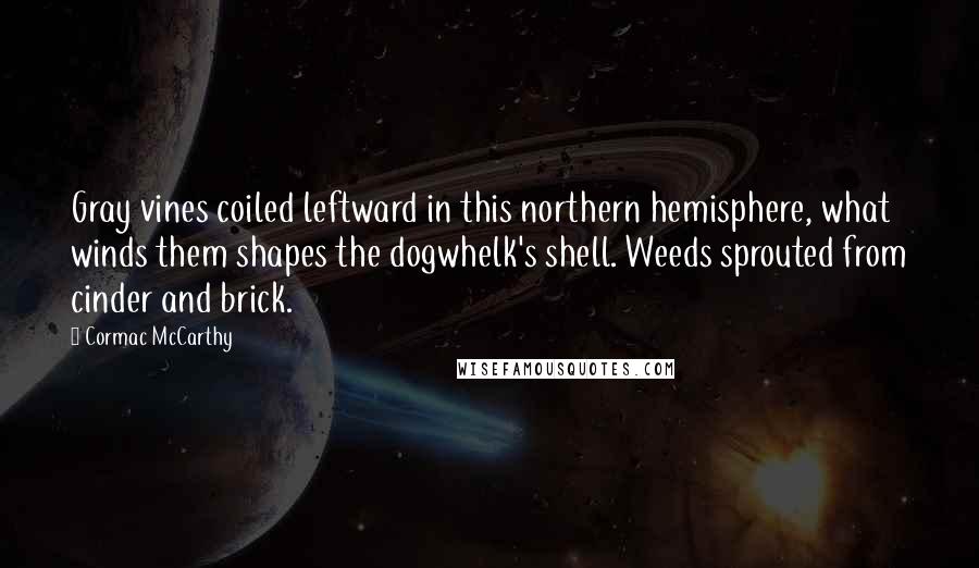 Cormac McCarthy Quotes: Gray vines coiled leftward in this northern hemisphere, what winds them shapes the dogwhelk's shell. Weeds sprouted from cinder and brick.