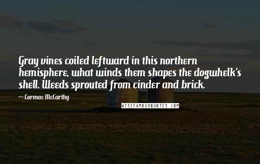 Cormac McCarthy Quotes: Gray vines coiled leftward in this northern hemisphere, what winds them shapes the dogwhelk's shell. Weeds sprouted from cinder and brick.