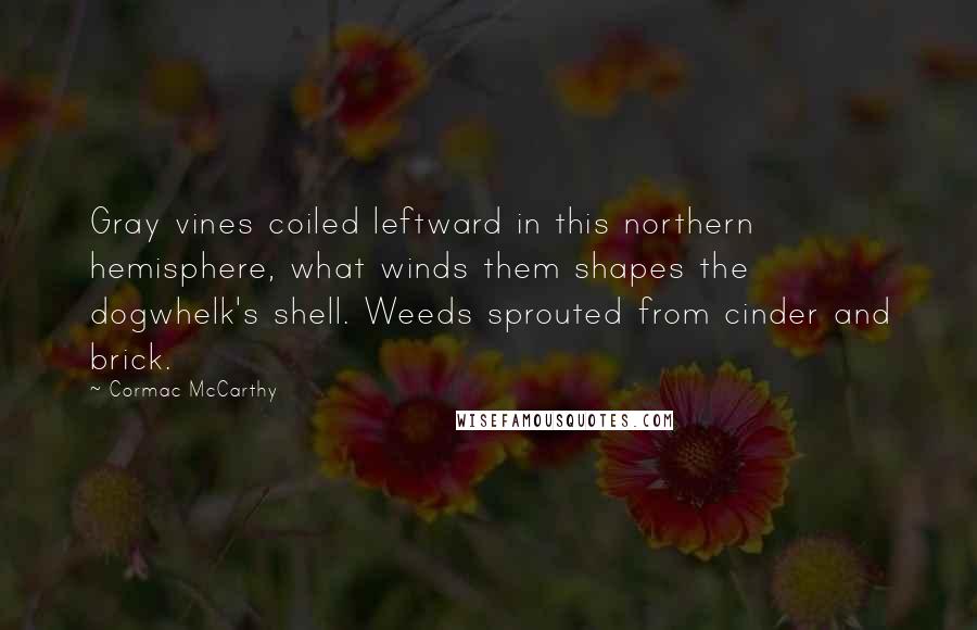 Cormac McCarthy Quotes: Gray vines coiled leftward in this northern hemisphere, what winds them shapes the dogwhelk's shell. Weeds sprouted from cinder and brick.