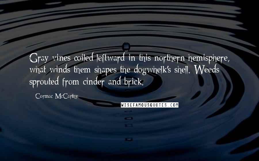 Cormac McCarthy Quotes: Gray vines coiled leftward in this northern hemisphere, what winds them shapes the dogwhelk's shell. Weeds sprouted from cinder and brick.