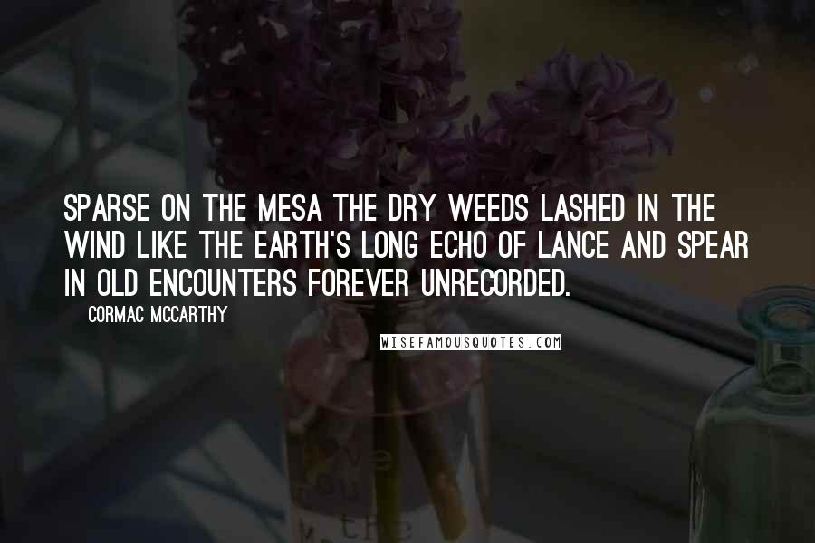 Cormac McCarthy Quotes: Sparse on the mesa the dry weeds lashed in the wind like the earth's long echo of lance and spear in old encounters forever unrecorded.