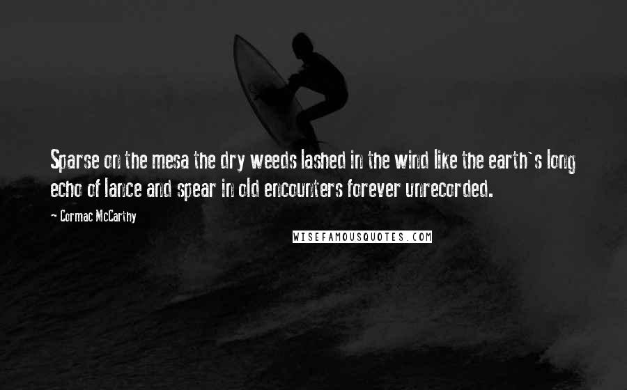 Cormac McCarthy Quotes: Sparse on the mesa the dry weeds lashed in the wind like the earth's long echo of lance and spear in old encounters forever unrecorded.