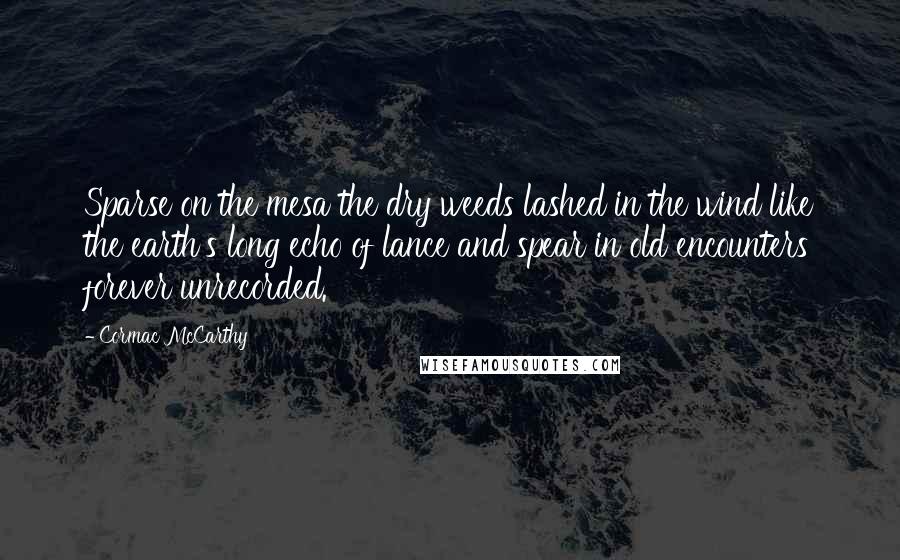 Cormac McCarthy Quotes: Sparse on the mesa the dry weeds lashed in the wind like the earth's long echo of lance and spear in old encounters forever unrecorded.