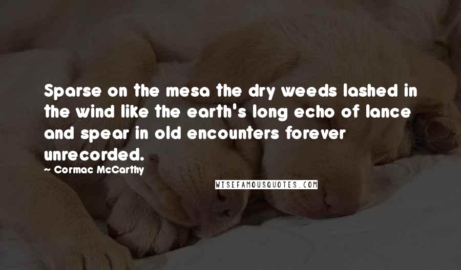 Cormac McCarthy Quotes: Sparse on the mesa the dry weeds lashed in the wind like the earth's long echo of lance and spear in old encounters forever unrecorded.