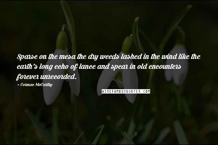 Cormac McCarthy Quotes: Sparse on the mesa the dry weeds lashed in the wind like the earth's long echo of lance and spear in old encounters forever unrecorded.