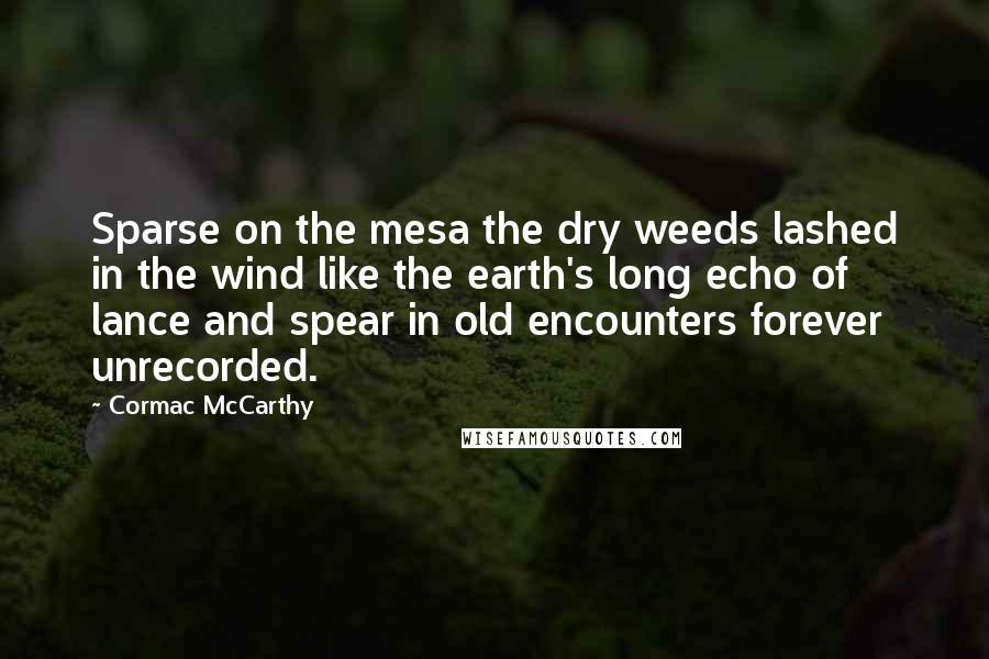 Cormac McCarthy Quotes: Sparse on the mesa the dry weeds lashed in the wind like the earth's long echo of lance and spear in old encounters forever unrecorded.