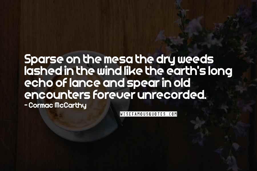 Cormac McCarthy Quotes: Sparse on the mesa the dry weeds lashed in the wind like the earth's long echo of lance and spear in old encounters forever unrecorded.