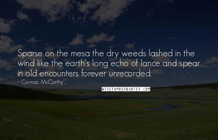 Cormac McCarthy Quotes: Sparse on the mesa the dry weeds lashed in the wind like the earth's long echo of lance and spear in old encounters forever unrecorded.