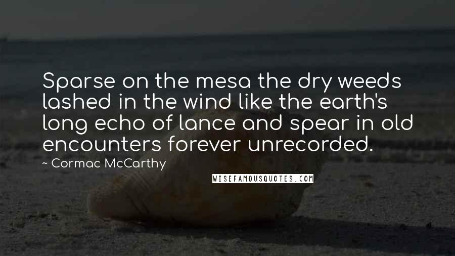 Cormac McCarthy Quotes: Sparse on the mesa the dry weeds lashed in the wind like the earth's long echo of lance and spear in old encounters forever unrecorded.