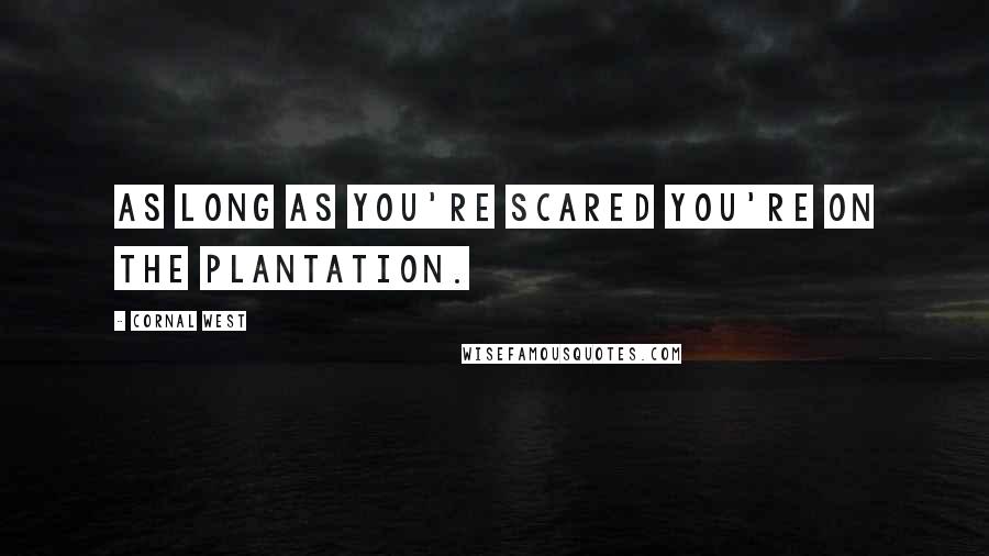 Cornal West Quotes: As long as you're scared you're on the plantation.