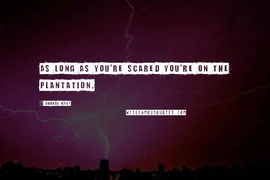 Cornal West Quotes: As long as you're scared you're on the plantation.