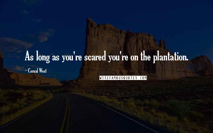 Cornal West Quotes: As long as you're scared you're on the plantation.
