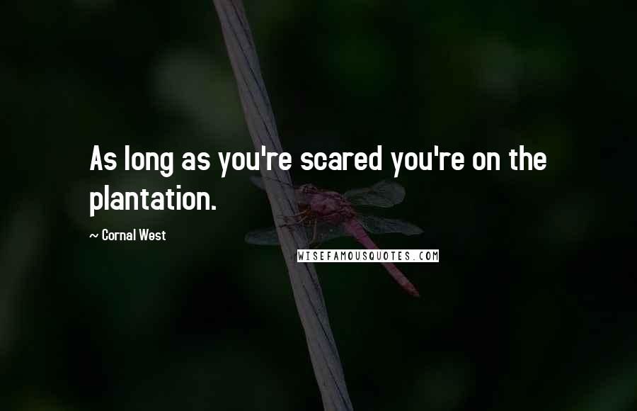 Cornal West Quotes: As long as you're scared you're on the plantation.