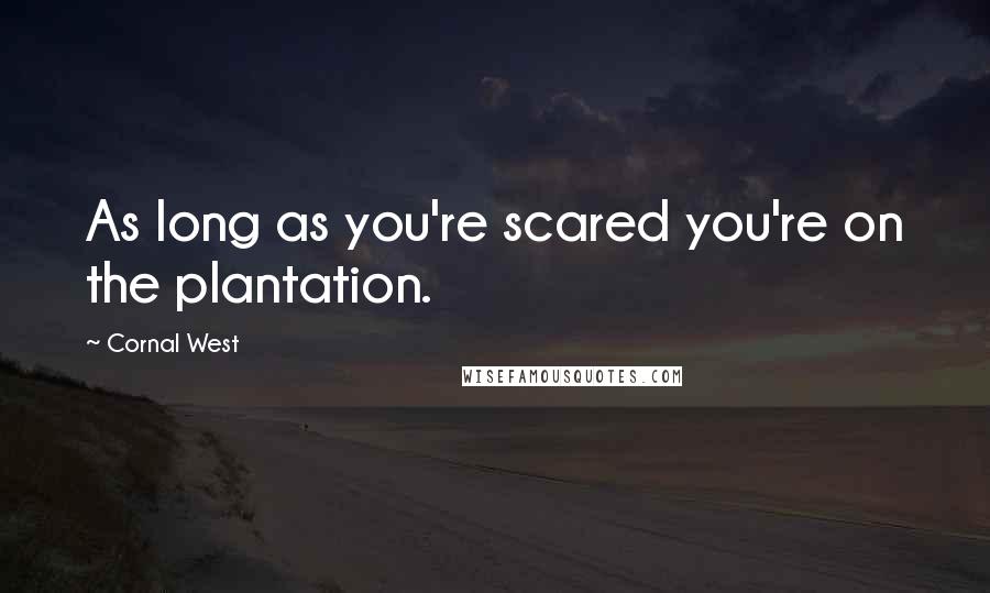Cornal West Quotes: As long as you're scared you're on the plantation.