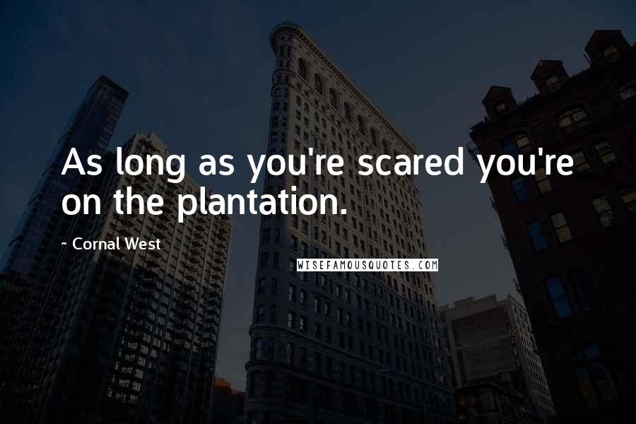 Cornal West Quotes: As long as you're scared you're on the plantation.