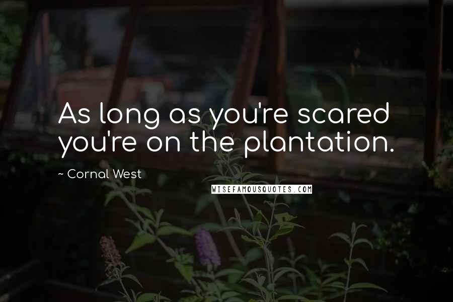 Cornal West Quotes: As long as you're scared you're on the plantation.