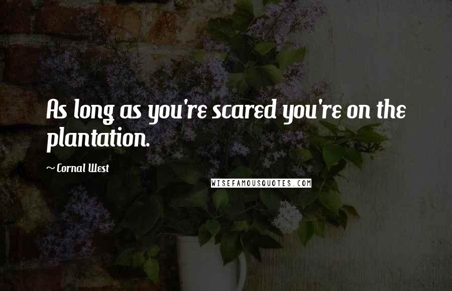 Cornal West Quotes: As long as you're scared you're on the plantation.