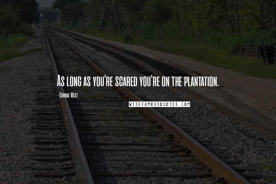 Cornal West Quotes: As long as you're scared you're on the plantation.