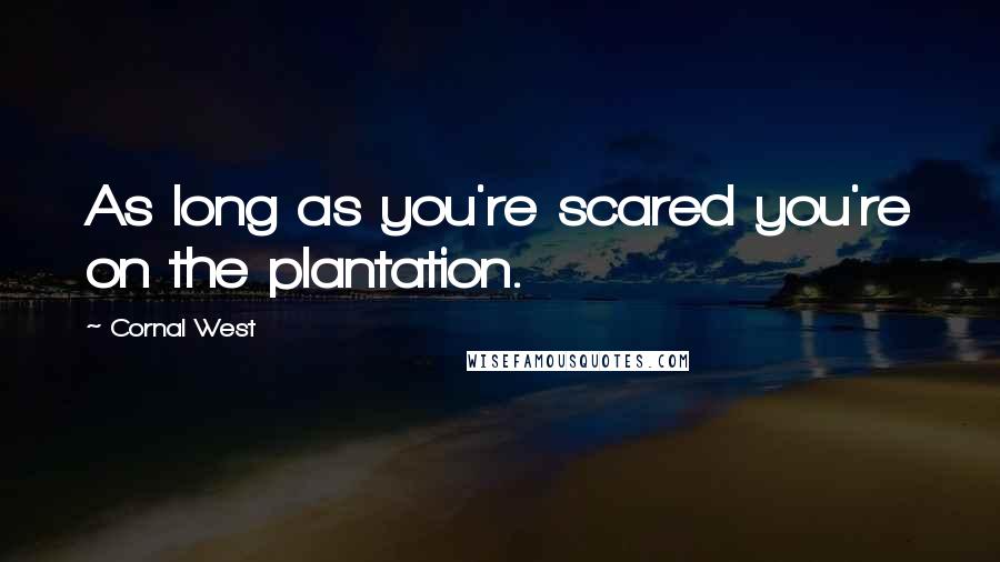 Cornal West Quotes: As long as you're scared you're on the plantation.