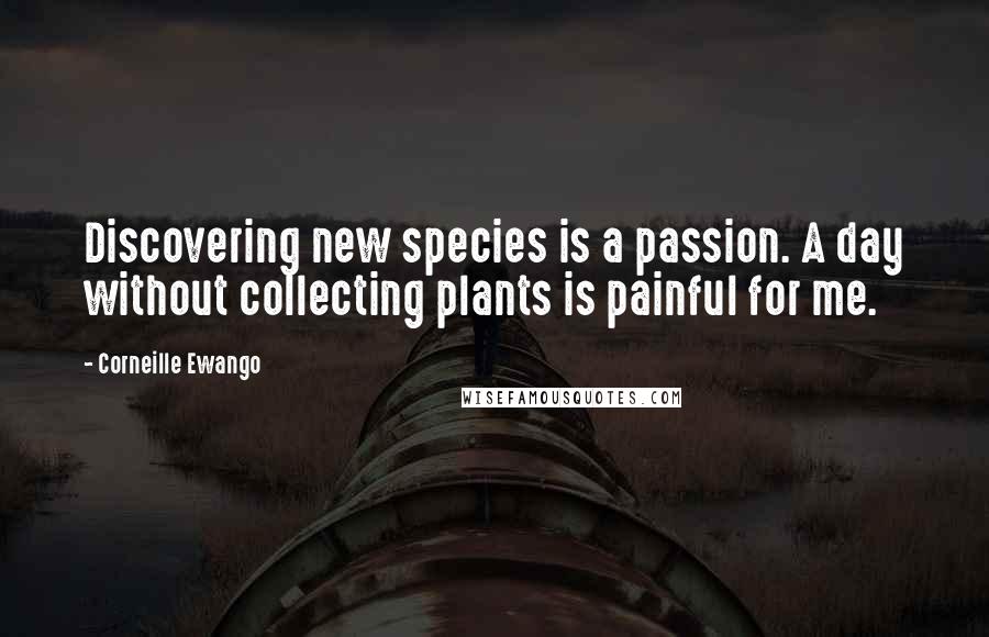 Corneille Ewango Quotes: Discovering new species is a passion. A day without collecting plants is painful for me.