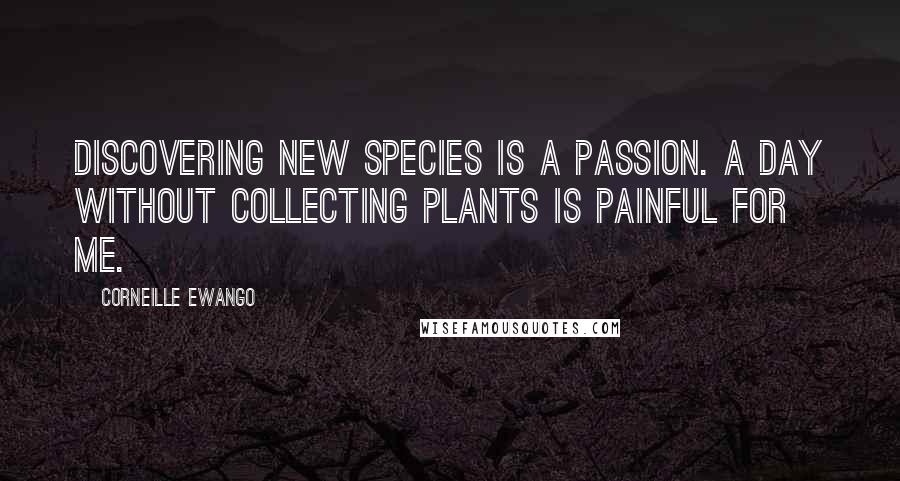 Corneille Ewango Quotes: Discovering new species is a passion. A day without collecting plants is painful for me.