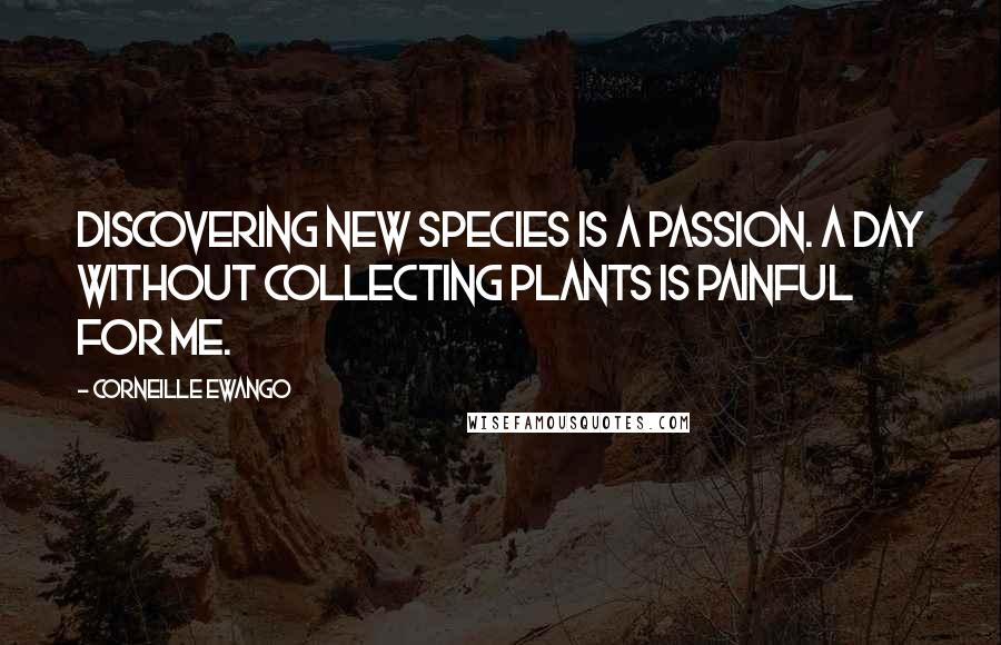 Corneille Ewango Quotes: Discovering new species is a passion. A day without collecting plants is painful for me.