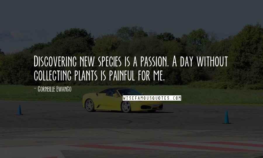 Corneille Ewango Quotes: Discovering new species is a passion. A day without collecting plants is painful for me.