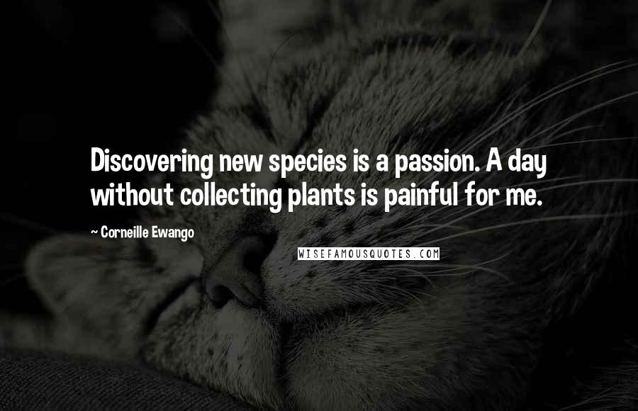 Corneille Ewango Quotes: Discovering new species is a passion. A day without collecting plants is painful for me.