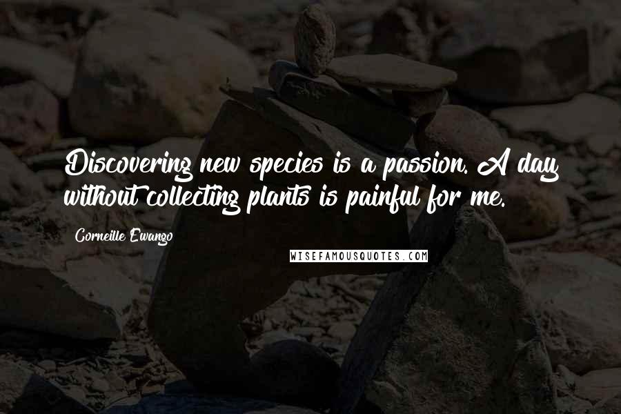 Corneille Ewango Quotes: Discovering new species is a passion. A day without collecting plants is painful for me.