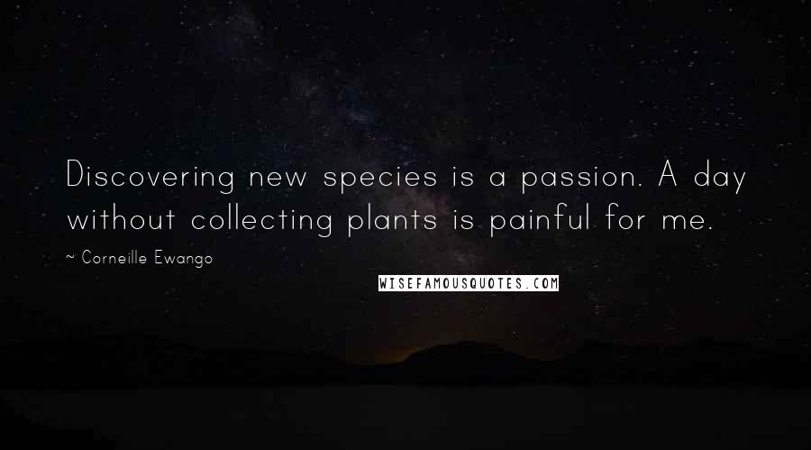 Corneille Ewango Quotes: Discovering new species is a passion. A day without collecting plants is painful for me.