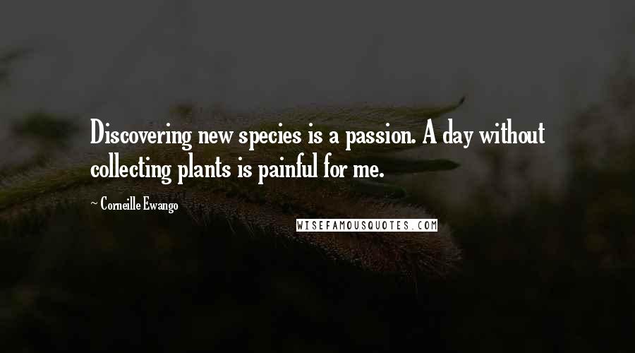 Corneille Ewango Quotes: Discovering new species is a passion. A day without collecting plants is painful for me.