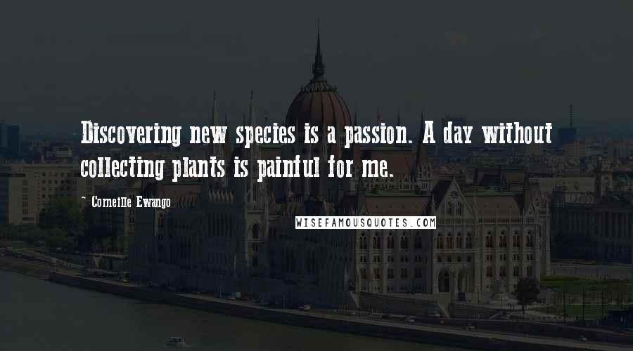 Corneille Ewango Quotes: Discovering new species is a passion. A day without collecting plants is painful for me.