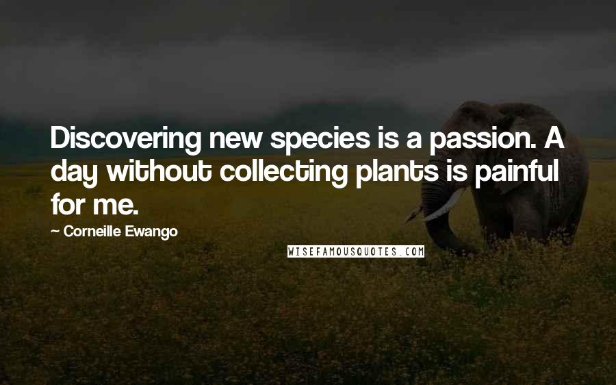 Corneille Ewango Quotes: Discovering new species is a passion. A day without collecting plants is painful for me.