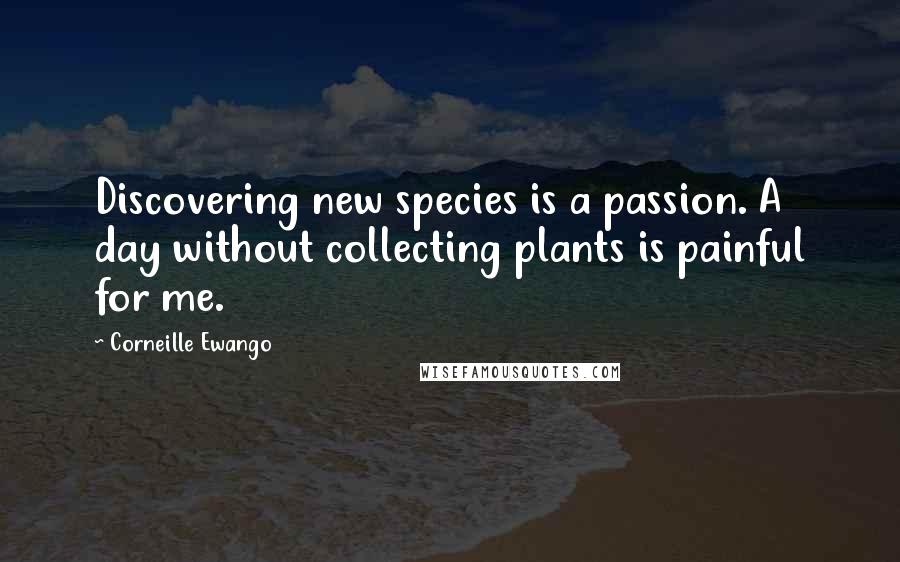 Corneille Ewango Quotes: Discovering new species is a passion. A day without collecting plants is painful for me.