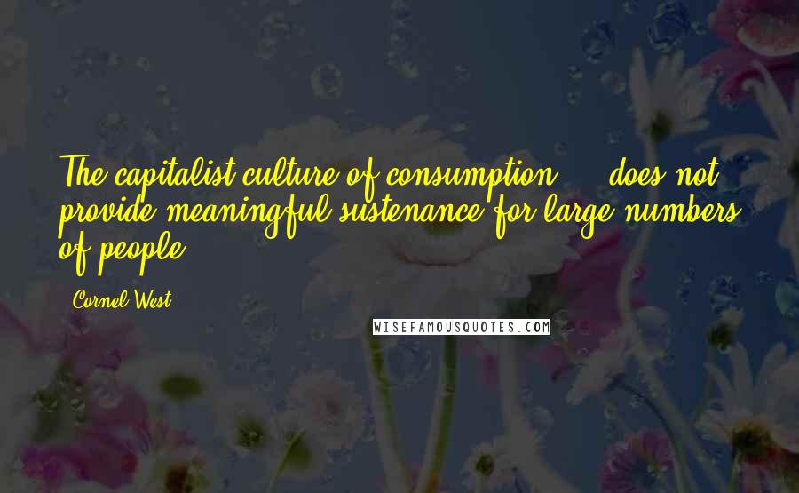 Cornel West Quotes: The capitalist culture of consumption ... does not provide meaningful sustenance for large numbers of people.